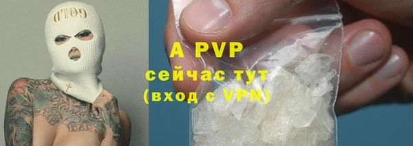 спиды Кинешма