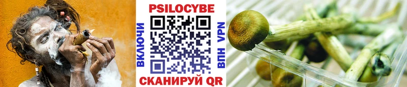 Галлюциногенные грибы GOLDEN TEACHER  Купить  Нижнекамск 
